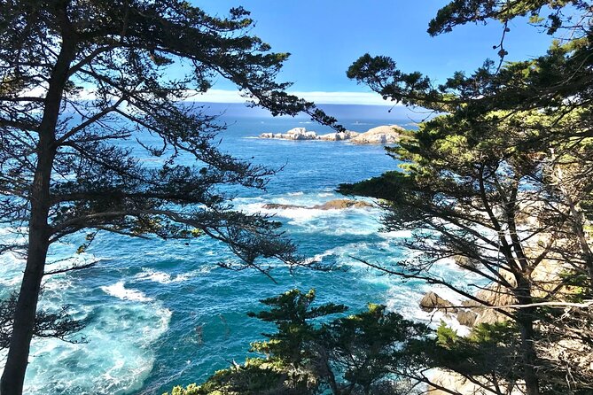 17-Mile Drive, Monterey Peninsula &Carmel Max 12 Small Group Tour - Cannery Row Gives You Time to Choose Your Own Pace