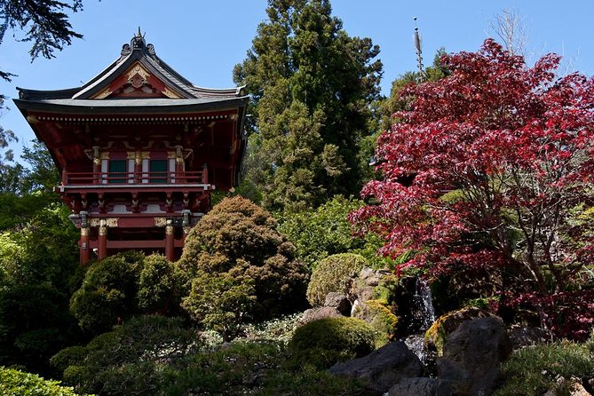 2 Day Hop-On Hop-Off Tour Plus Night Tour - Lombard Street and the classic San Francisco postcard