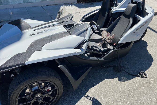 2 Hours fun in a Automatic Slingshot - Why the automatic Slingshot changes the experience