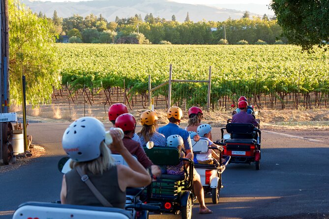 3 Hour Electric Trike Sunset Tour at Sonoma - Rolling through Sonoma’s vineyards at sunset