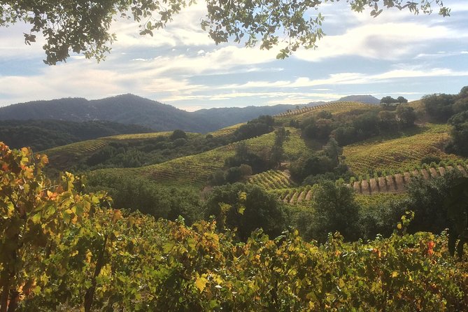6-Hour Exclusive Wine Tour Experience: Up to 6 Guests - Sonoma options, including Dry Creek Valley