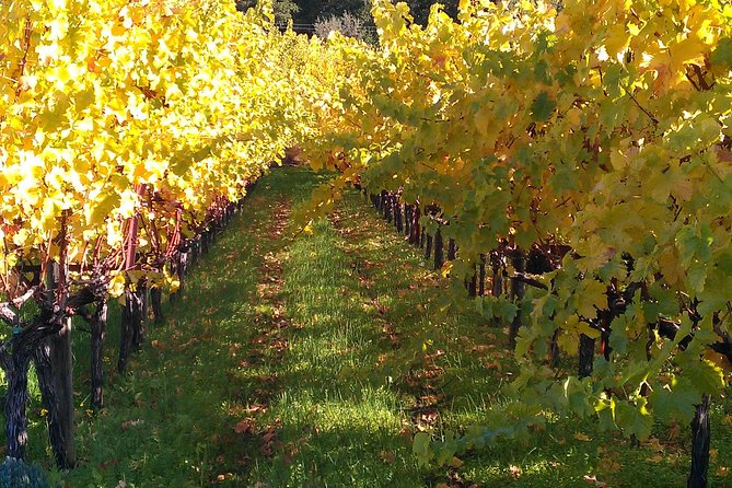 6 Hour Napa or Sonoma Valley Wine Tour by Private SUV - Price, fees, and the real value