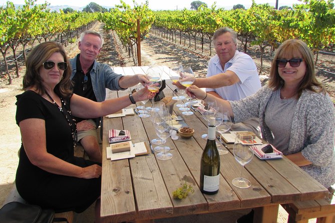 6 Hour Private Customized Wine Tour up to 7 Guests Napa & Sonoma - What the guide adds beyond driving