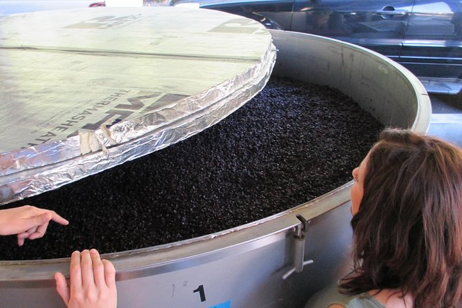 6 Hour Private Customized Wine Tour up to 7 Guests Napa & Sonoma - Napa and Sonoma offer different kinds of days