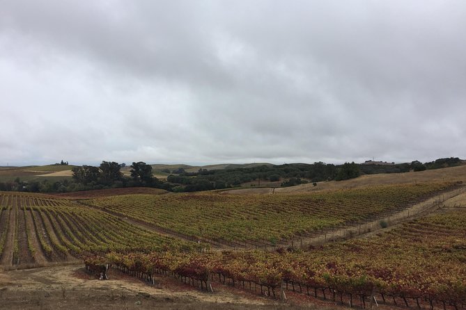 6-Hour Private Limousine Wine Country Tour of Napa or Sonoma - How the custom itinerary works in real life