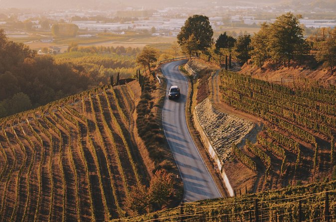 6-hour Private Luxury SUV Wine Tour in Napa Or Sonoma Valley - A relaxed day, not a rushed checklist