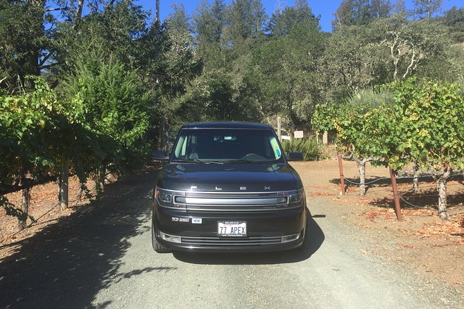 6-Hour Private Wine Country Tour of Napa in Crossover SUV (up to 6 people) - Napa, Sonoma, and Kenwood: choosing the right scale