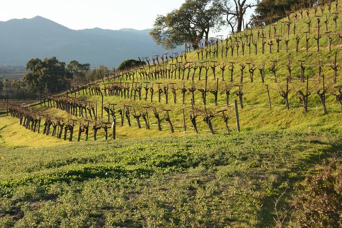 6-Hour Private Wine Country Tour of Napa in Crossover SUV (up to 6 people) - Lunch, celebrations, and time between tastings