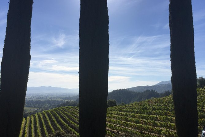 6-Hour Private Wine Country Tour of Napa Valley (up to 6 people) in Large SUV - The role of Apex and your chauffeur