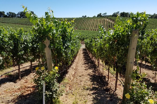6 Hour Private Wine Country Tour (Sedan, SUV or Limo) - Choosing the right vehicle for your group