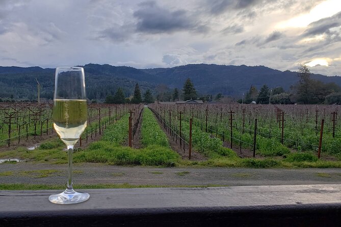 6-Hour Sparkling Wine Tour of Napa Valley - A calm alternative to crowded wine-country transport