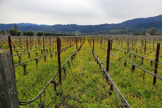 6-Hour Sparkling Wine Tour of Napa Valley - Booking and cancellation details to know