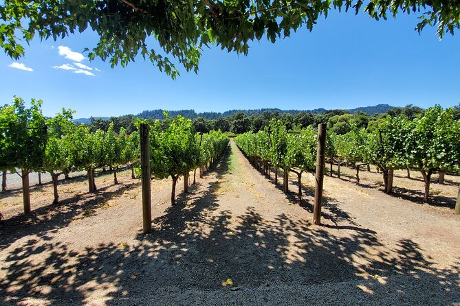 6-Hour Sparkling Wine Tour of Napa Valley - What the $619 price really buys