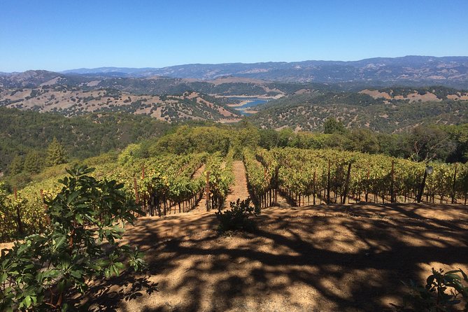8-Hour Exclusive Wine Tour Experience for up to 6 Guests / Napa-Sonoma - Who will get the most from this tour