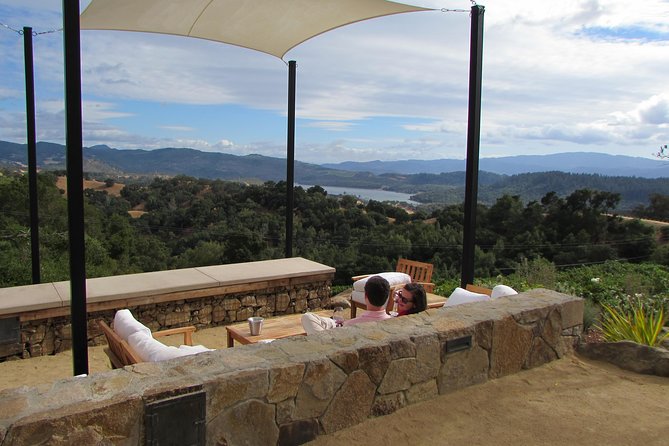 8 Hour Private Customized Wine Tour up to 7 Guests Napa & Sonoma - Why the private SUV matters