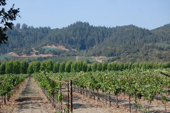 8 Hour Private Napa Wine Tasting Tour with a Sample Stops - What the $849 price really covers