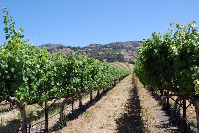 8 Hour Private Tour in Napa Valley Winery - Napa Valley and Sonoma Valley in one day