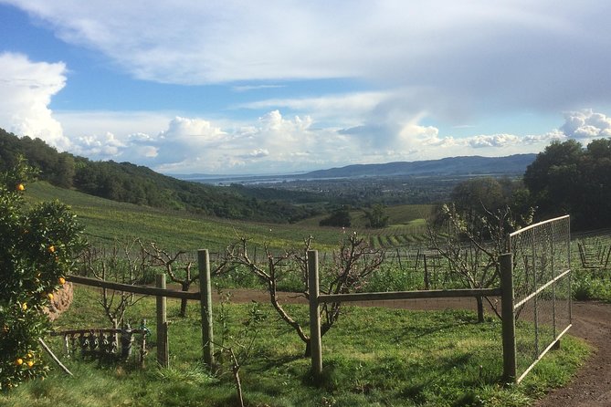 8-Hour Private Wine Tour Experience for up to 6 Guests - San Francisco to Sonoma - What the private vehicle changes