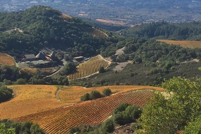 8-Hour Private Wine Tour Experience for up to 6 Guests - San Francisco to Sonoma - Planning the cost before you book