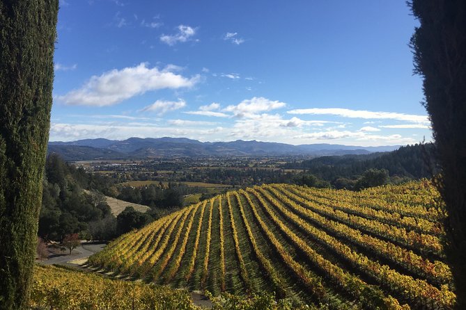 8-Hours Private Limo(up to 8 pass.) Wine Tour of Napa Valley from San Francisco - Practical planning advice for the best day