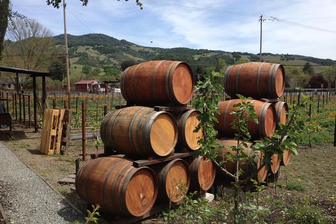8-Hours Private SUV (up to 6 Passengers) San Francisco to Napa Valley Wine Tour - Why a private SUV changes the Napa day