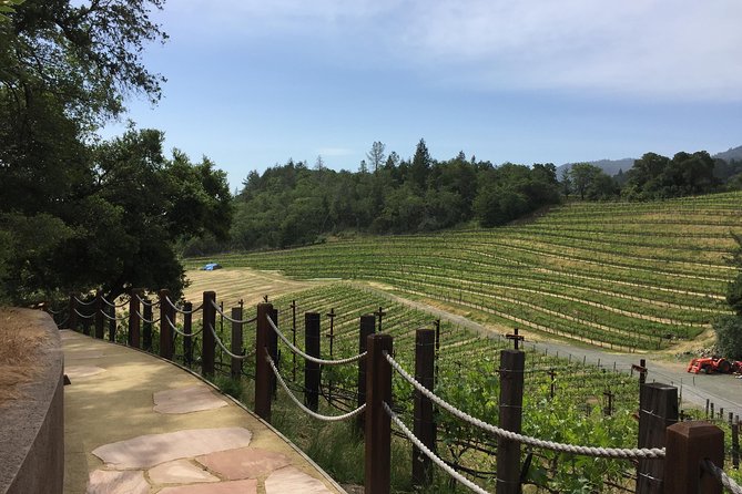 8-Hours Private SUV (up to 6 Passengers) San Francisco to Napa Valley Wine Tour - What the Napa Valley stop is really like