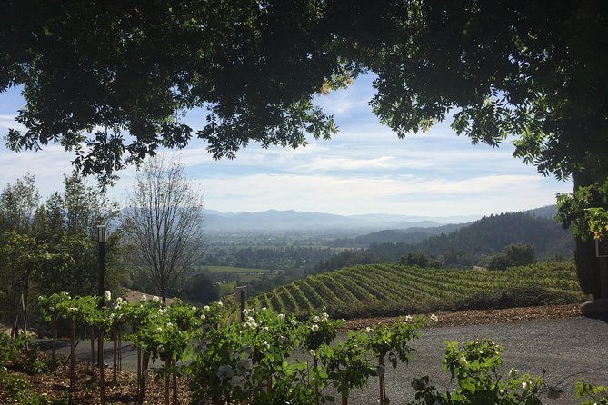 8-Hours Private SUV (up to 6 Passengers) San Francisco to Napa Valley Wine Tour - Who should book this service?