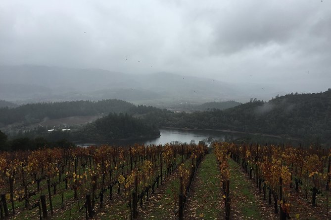 8-Hours Private SUV (up to 6 Passengers) San Francisco to Napa Valley Wine Tour - Practical planning tips for the eight hours