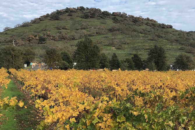 8hr Private Sonoma and Napa Wine Tour from San Francisco.XL SUV - The price works best for a full group