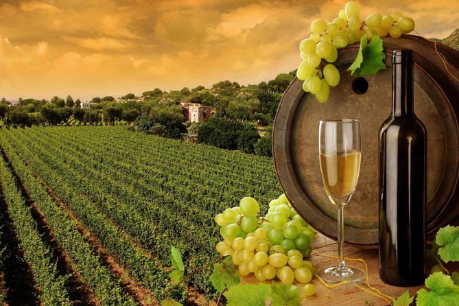 8hr-Private Wine Tour from SF & 1/2 Case of Californian wine. - Key points to know before booking