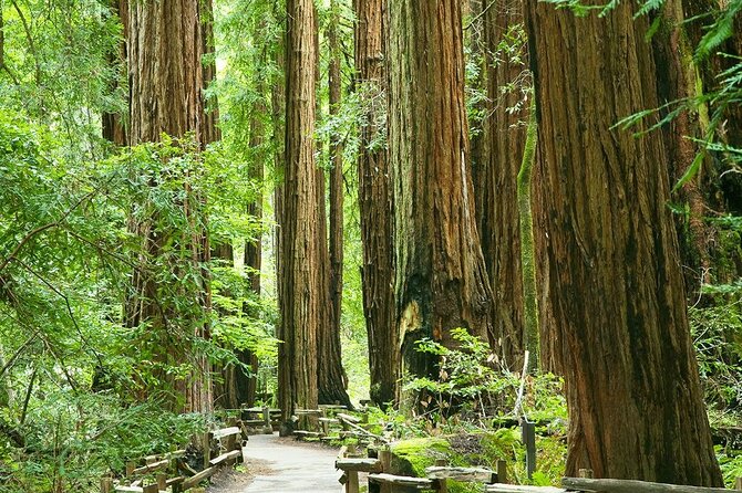 Alcatraz Muir Woods with Sausalito Express - What the $137.99 price really buys