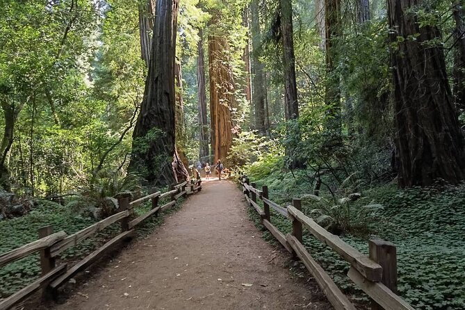 Alcatraz Plus Muir Woods and Sausalito Combo Tour - Sausalito in one compact hour