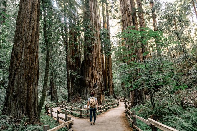 Alcatraz Tour Plus Muir Woods and Sausalito Day Trip - Golden Gate North Vista Point in 10 minutes