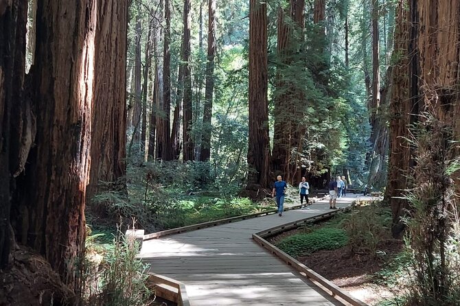 Amazing Muir Woods and Sausalito Tour - Who will enjoy this tour most