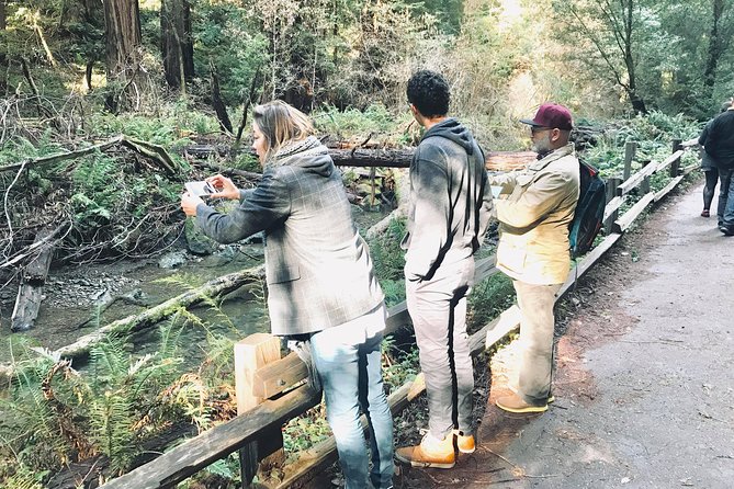 Amazing Muir Woods and Sausalito Tour - Should you book the Muir Woods and Sausalito tour?