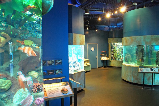 Aquarium of the Bay General Admission Ticket - Why families tend to enjoy it