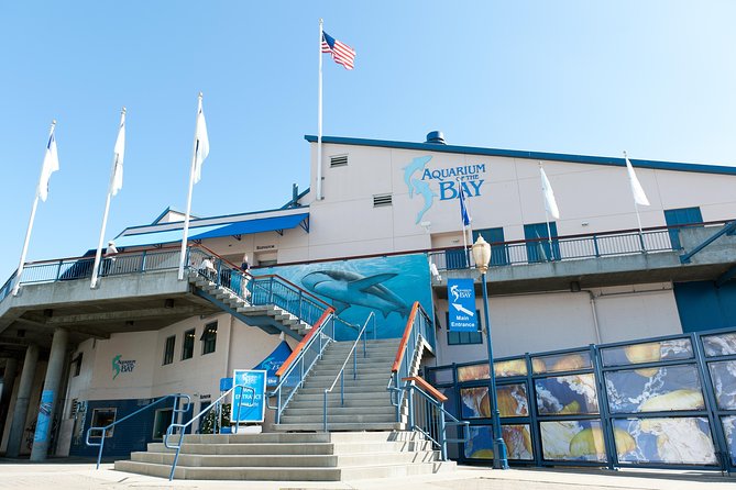 Aquarium of the Bay General Admission Ticket - Timing, tickets, and the practical details