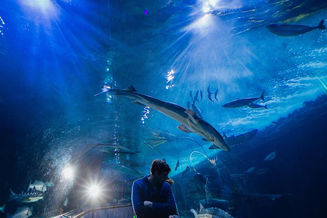 Aquarium of the Bay General Admission Ticket - Is $28.25 a fair price?