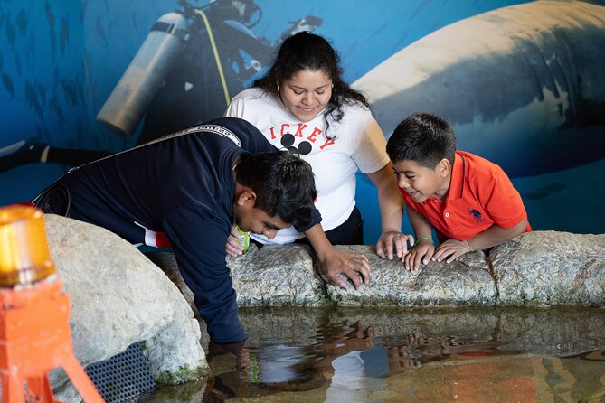 Aquarium of the Bay VIP Experience - The river otter video gives the visit a clear finish