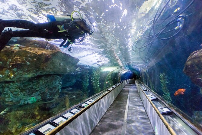 Aquarium of the Bay VIP Experience - Guides make the difference