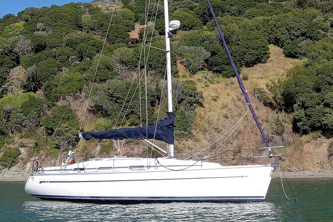 Awesome San Francisco Bay Private Sailing Adventure via Sausalito - What Captain Evan adds to the experience