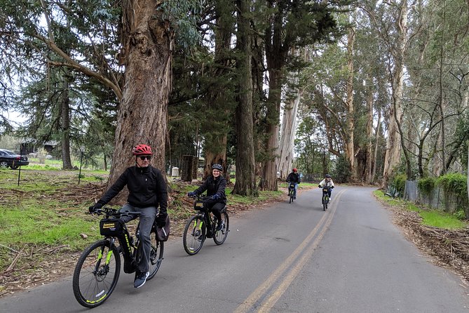 Behind-the-Scenes Food and Wine E-Bike Tour - Winery stops, with tasting fees paid separately