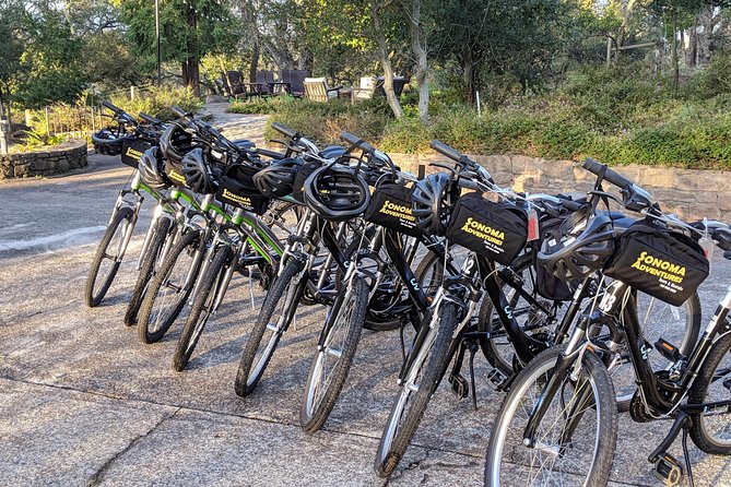 Behind-the-Scenes Food and Wine E-Bike Tour - Vella Cheese Company adds the best non-wine stop