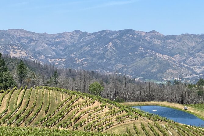 Best Private Wine Tours of Napa Valley-Sonoma for up to 8 people - Sonoma Valley: A More Relaxed Wine Country Day