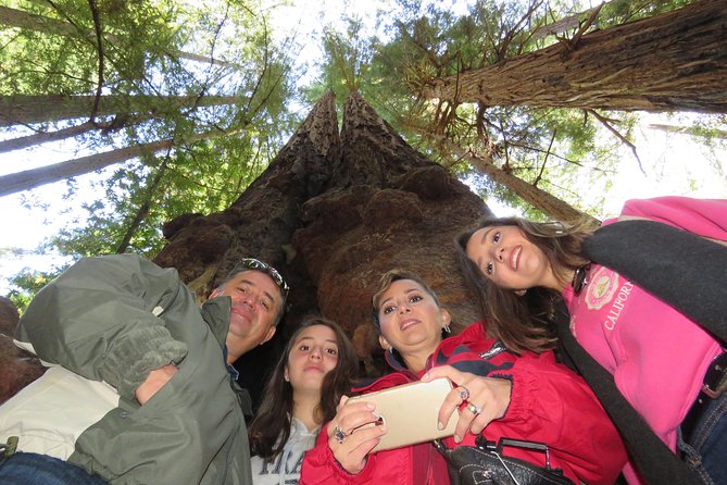 Best San Francisco, Muir Woods & Sausalito Private Combo Tour - San Francisco’s Classic Sights in the Afternoon