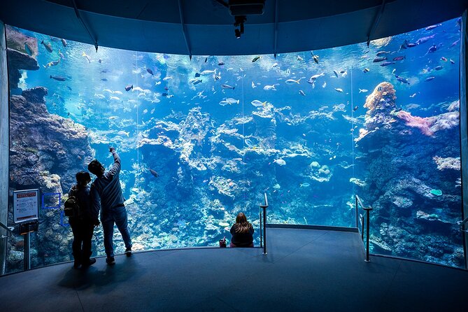 California Academy of Sciences General Admission Ticket - Start with the aquarium and its 60,000 animals