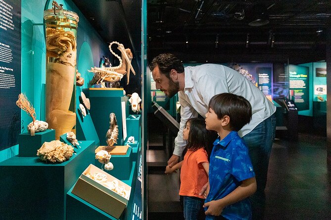 California Academy of Sciences General Admission Ticket - Reserve your Morrison Planetarium show early