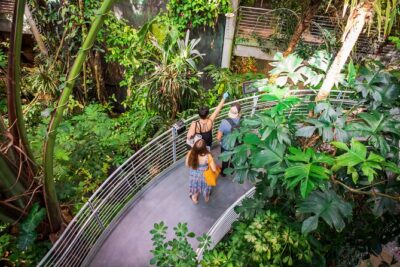 California Academy of Sciences General Admission Ticket
