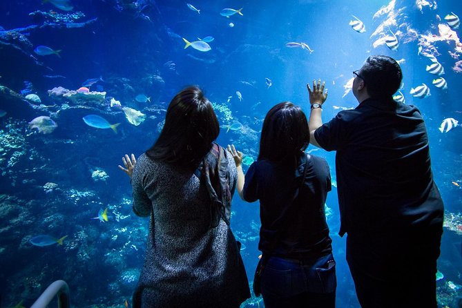 California Academy of Sciences NightLife Admission Ticket - Food and drinks are convenient, but not included