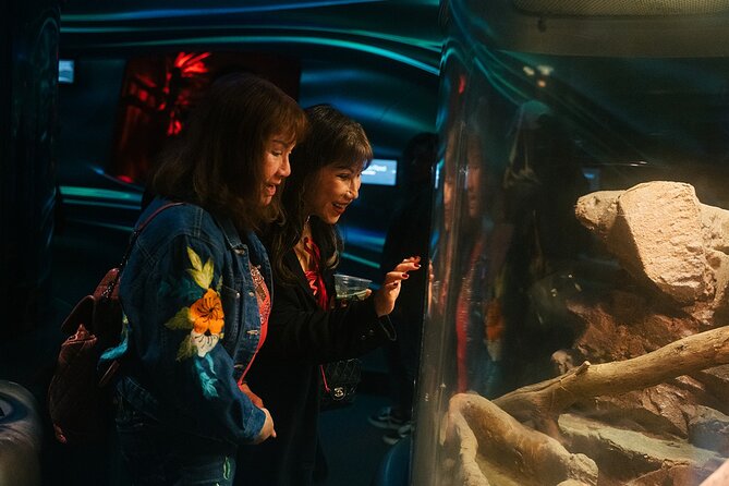 California Academy of Sciences NightLife Admission Ticket - What the $25 ticket really gives you